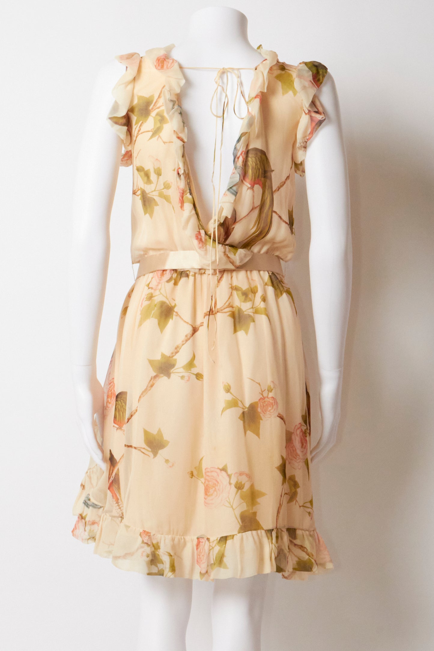 Alexander Mcqueen 2006 Floral Birds Silk Belted Ruffle Dress